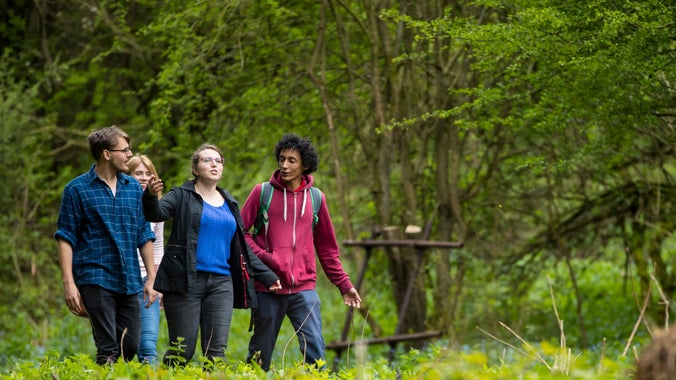 Exploring Comer Woods at Dudmaston, Shropshire
